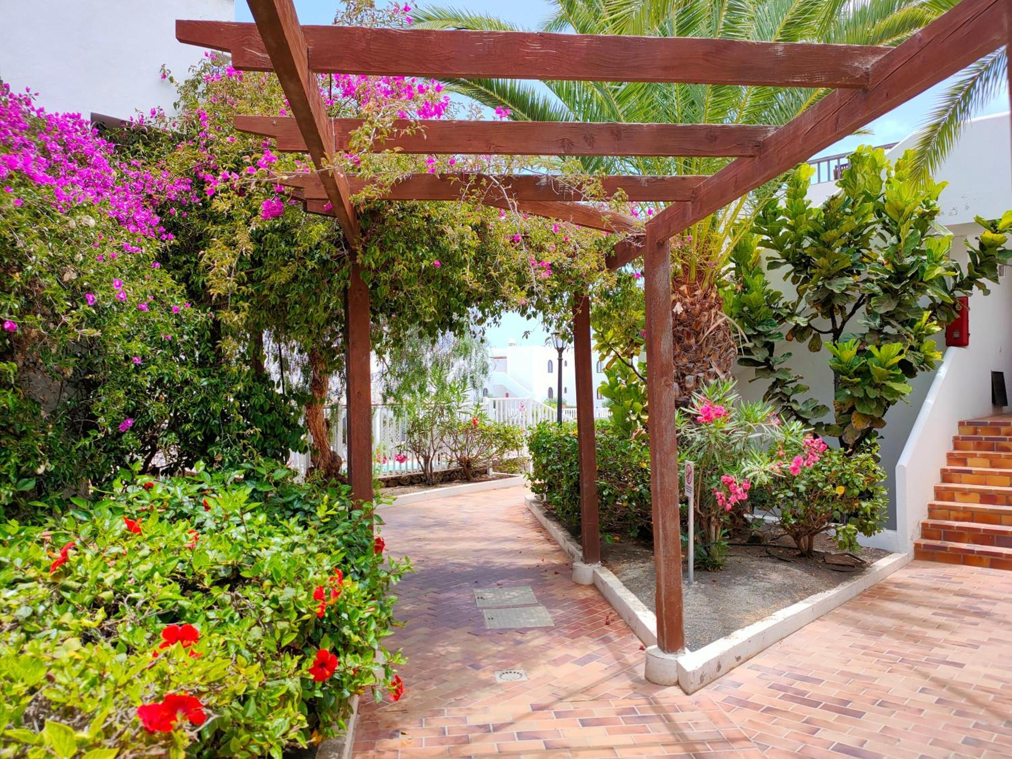Flor De Cactus Apartment Costa Teguise Room photo